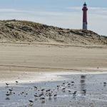 Pic-nic au pied du phare