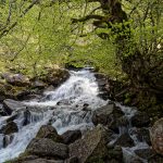 Torrent au printemps